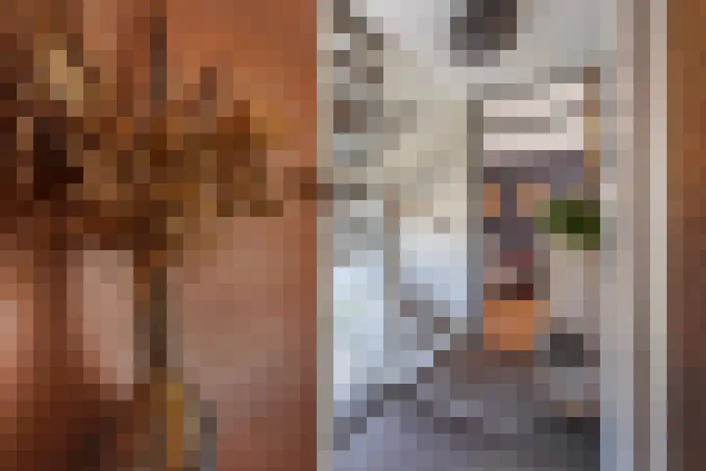Nimfkruidvaart 13 Zoetermeer thumbnail 25