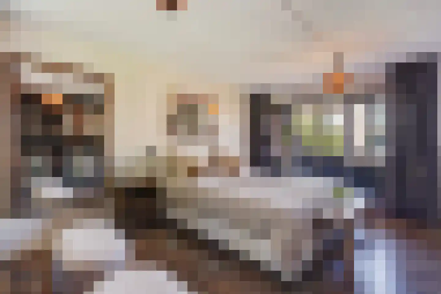 Nimfkruidvaart 13 Zoetermeer thumbnail 26
