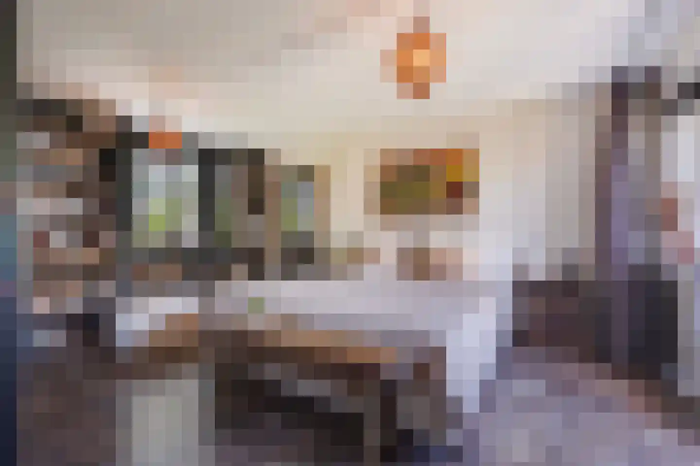 Nimfkruidvaart 13 Zoetermeer thumbnail 27