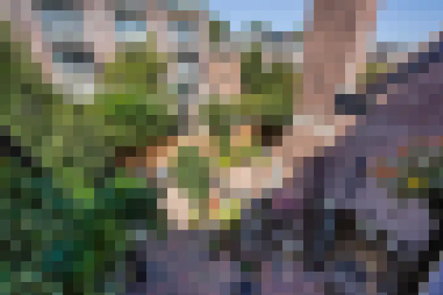 Nimfkruidvaart 13 Zoetermeer thumbnail 30