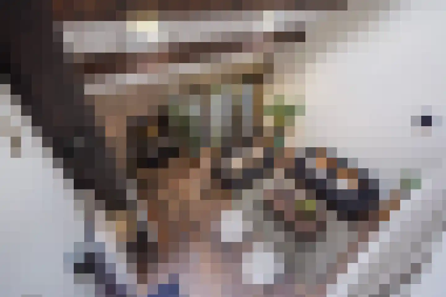 Nimfkruidvaart 13 Zoetermeer thumbnail 32