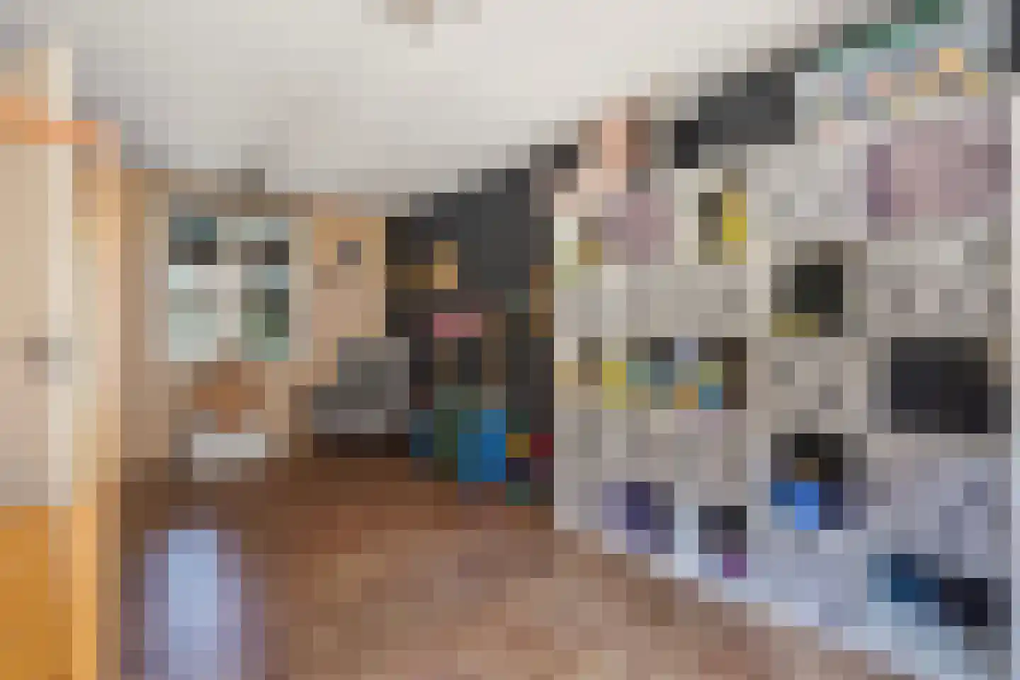 Nimfkruidvaart 13 Zoetermeer thumbnail 34
