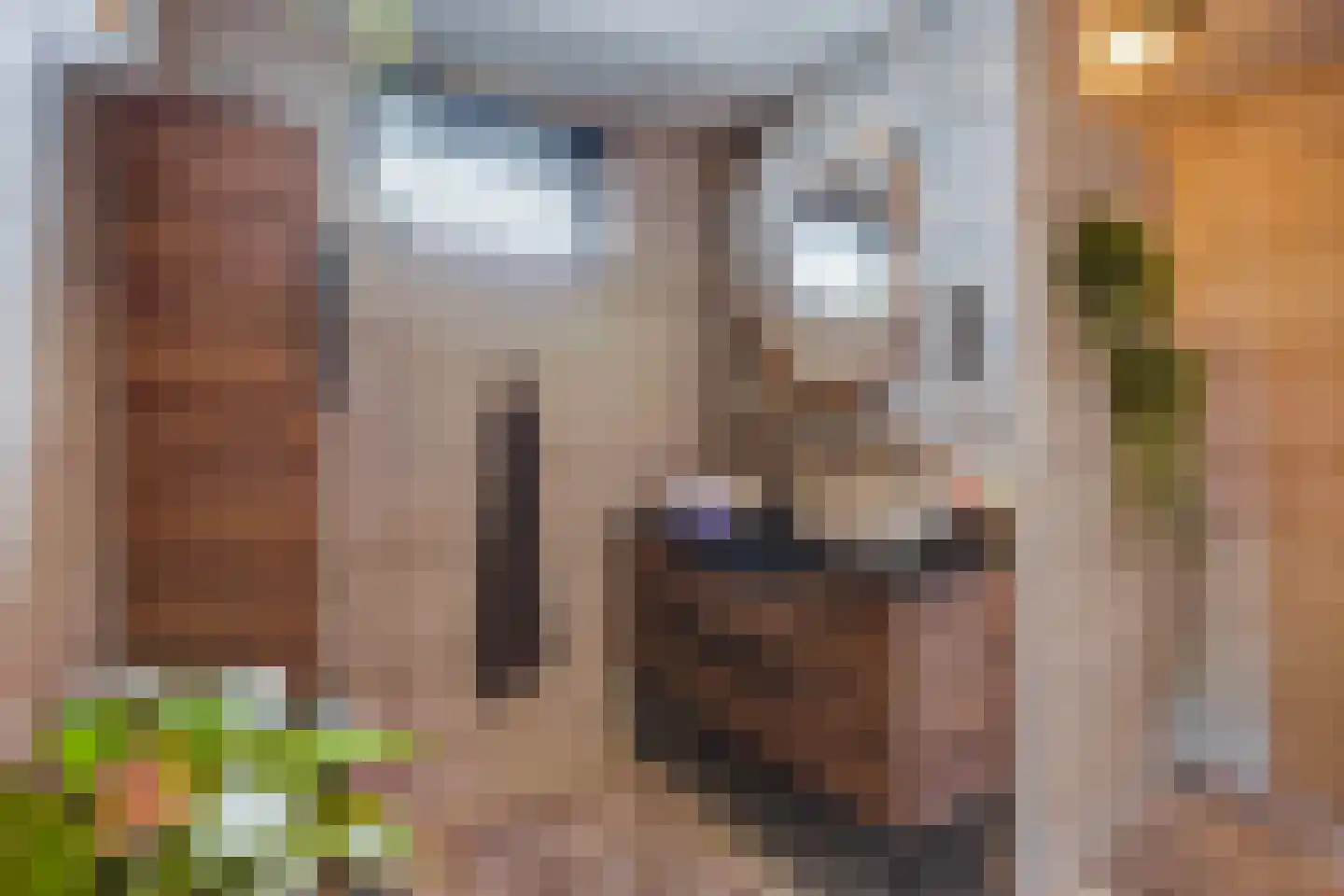 Nimfkruidvaart 13 Zoetermeer thumbnail 36