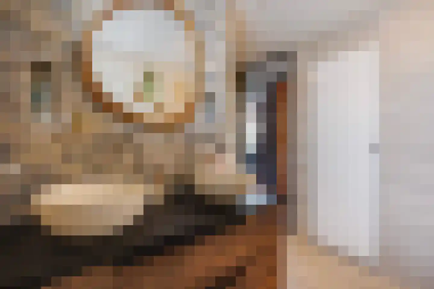 Nimfkruidvaart 13 Zoetermeer thumbnail 38