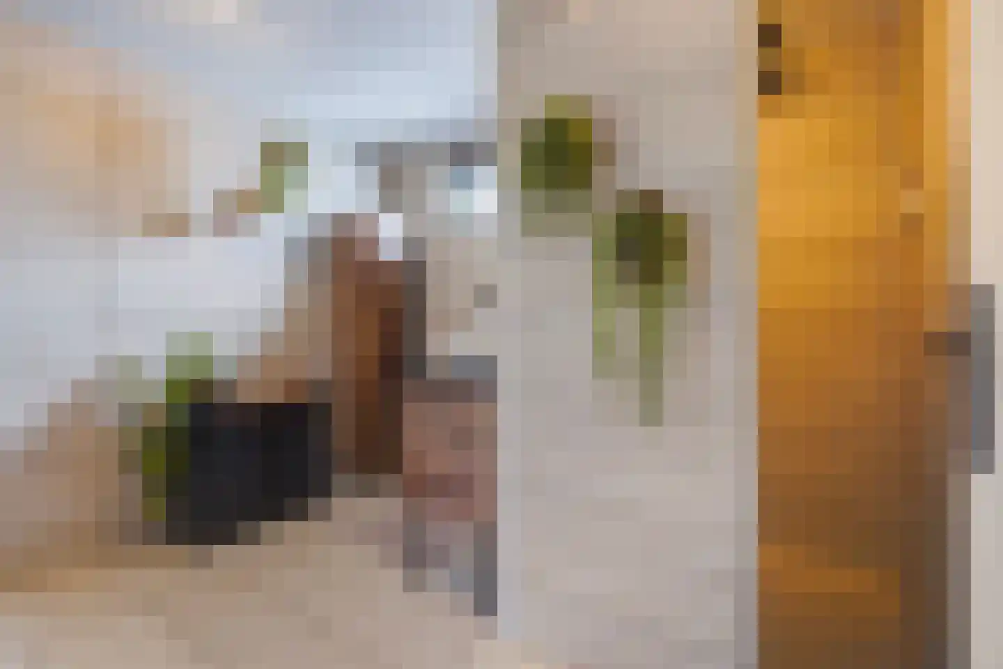 Nimfkruidvaart 13 Zoetermeer thumbnail 39