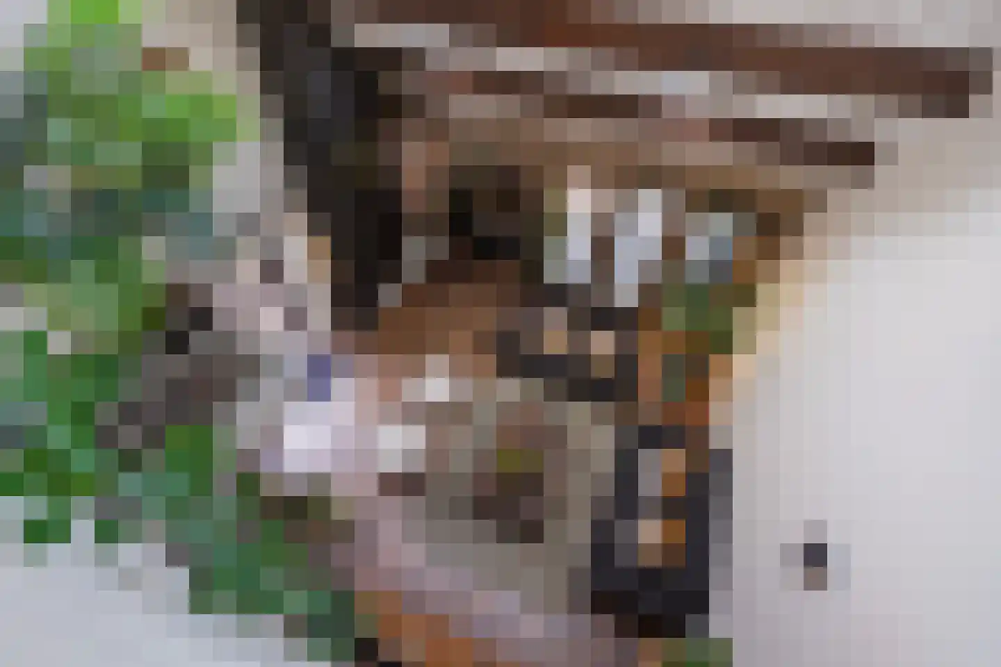Nimfkruidvaart 13 Zoetermeer thumbnail 4