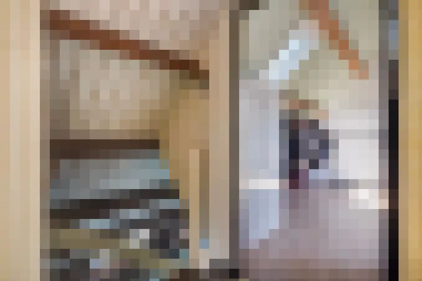 Nimfkruidvaart 13 Zoetermeer thumbnail 41