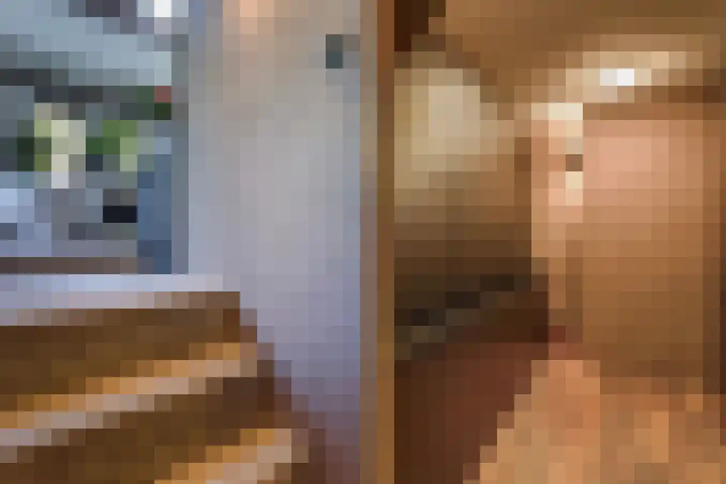 Nimfkruidvaart 13 Zoetermeer thumbnail 48