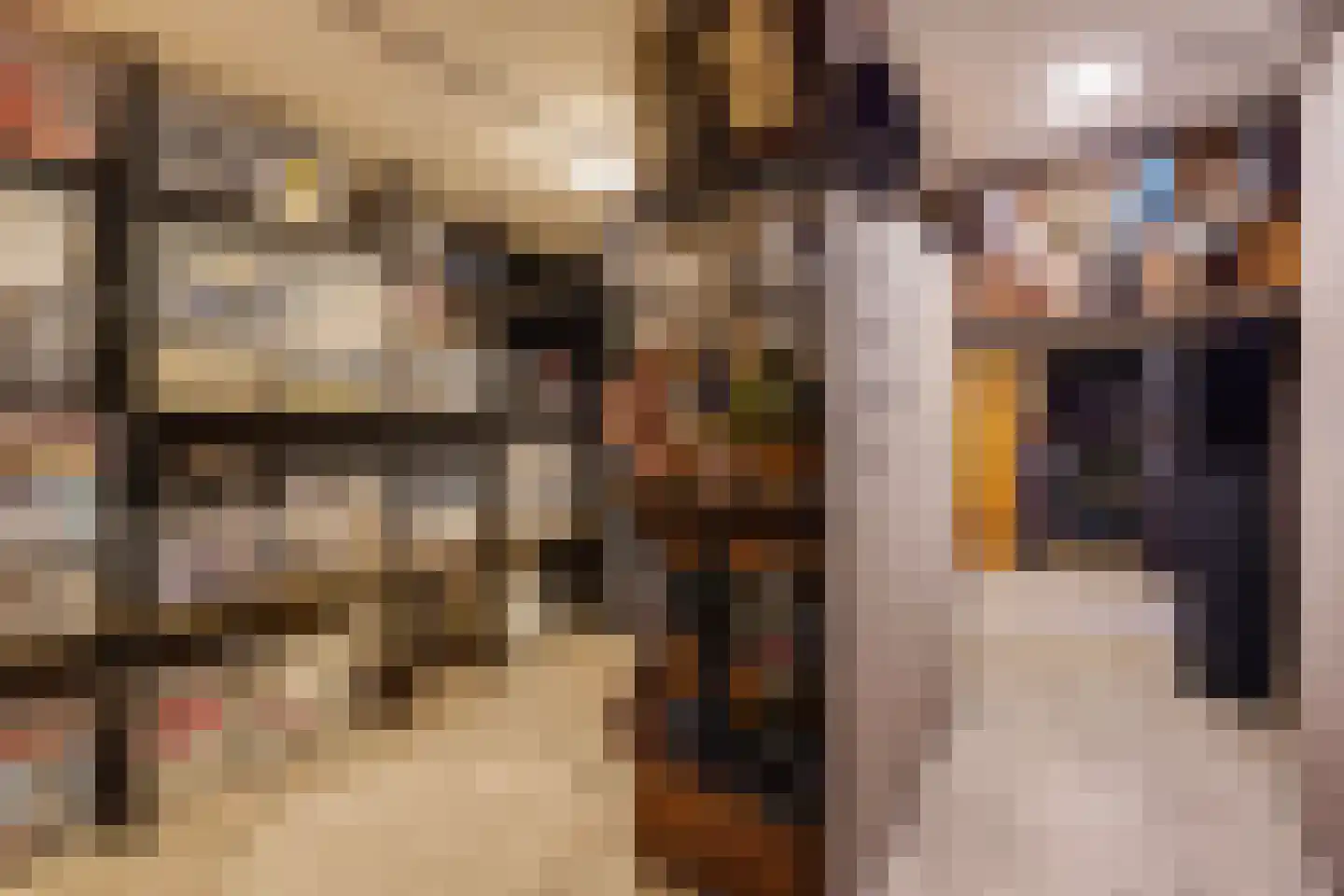 Nimfkruidvaart 13 Zoetermeer thumbnail 52