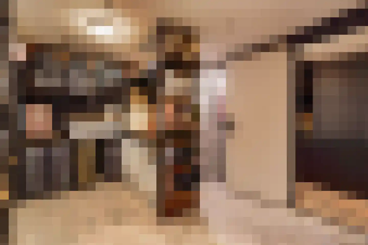 Nimfkruidvaart 13 Zoetermeer thumbnail 53