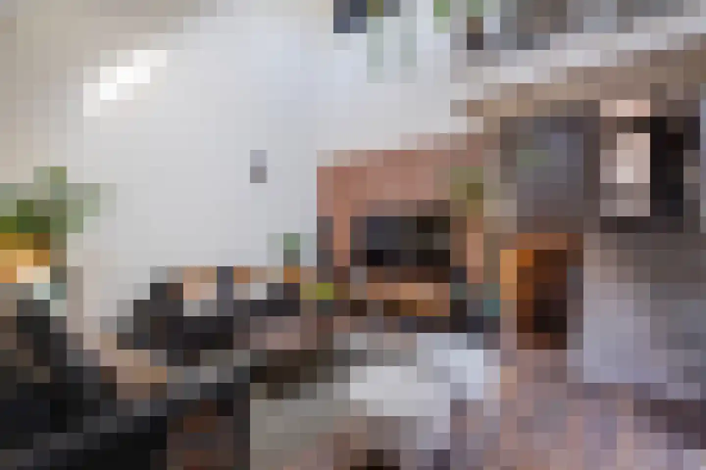 Nimfkruidvaart 13 Zoetermeer thumbnail 6