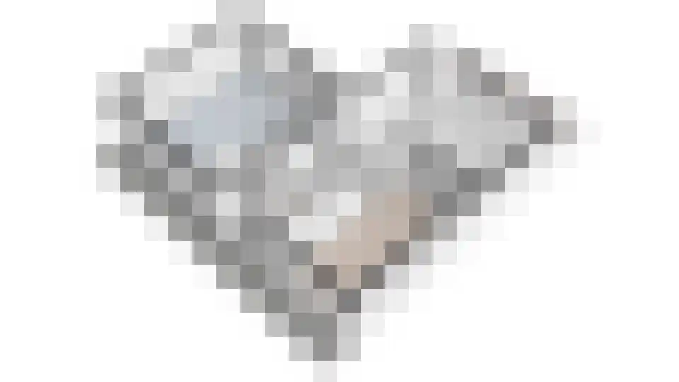 Nimfkruidvaart 13 Zoetermeer thumbnail 61