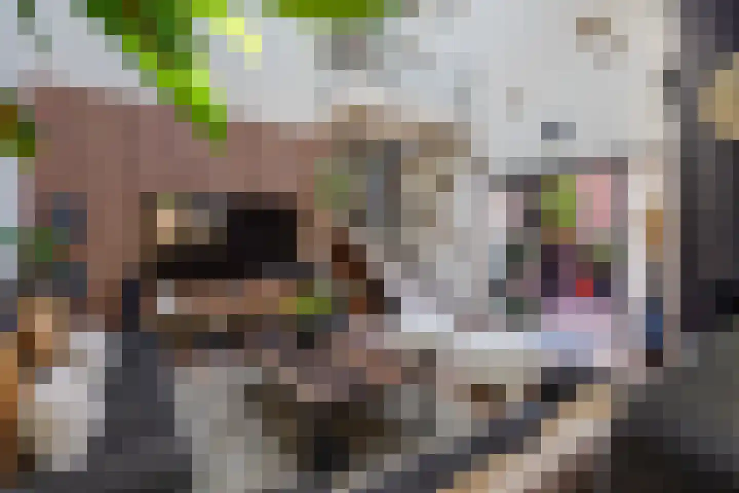 Nimfkruidvaart 13 Zoetermeer thumbnail 7
