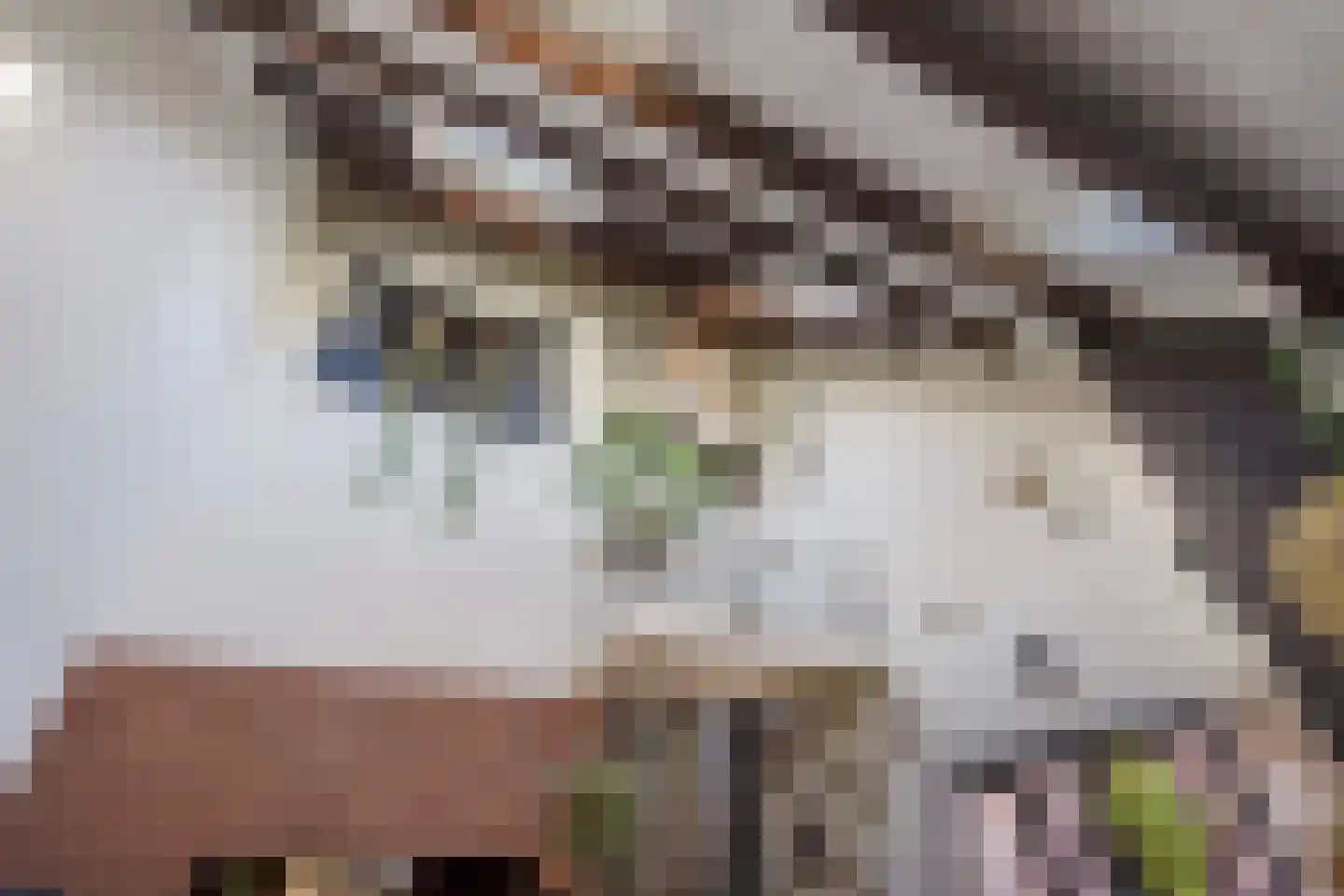 Nimfkruidvaart 13 Zoetermeer thumbnail 8