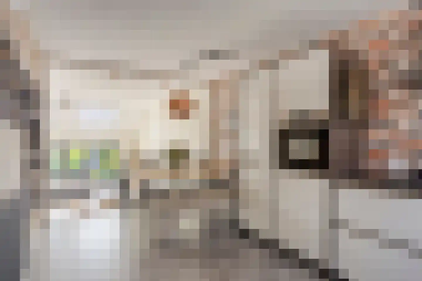 Nimfkruidvaart 14 Zoetermeer thumbnail 10