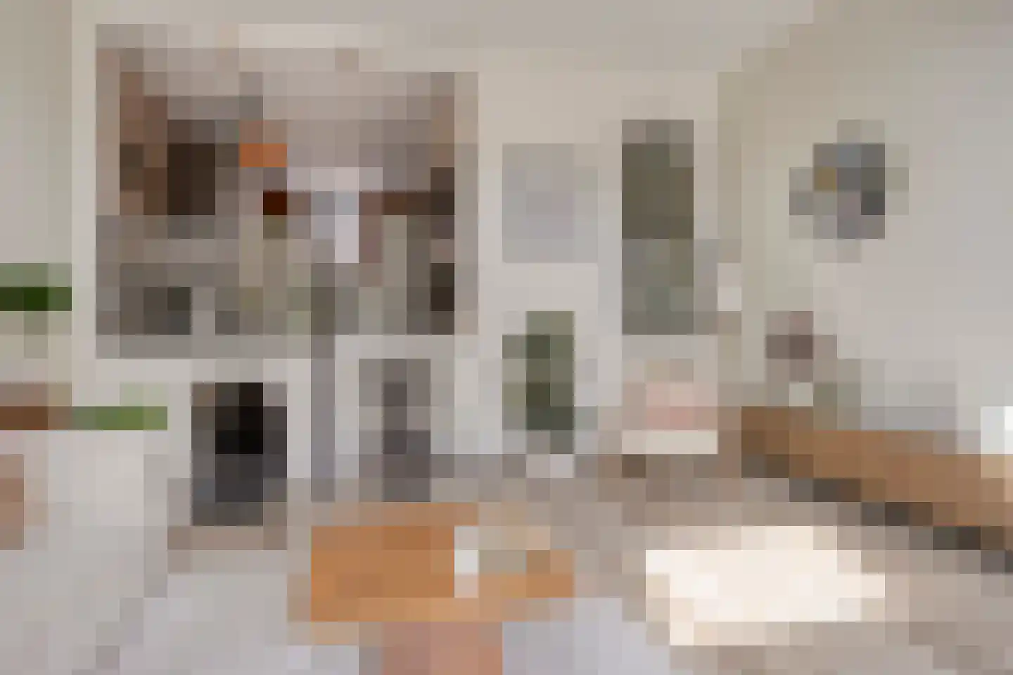 Nimfkruidvaart 14 Zoetermeer thumbnail 15