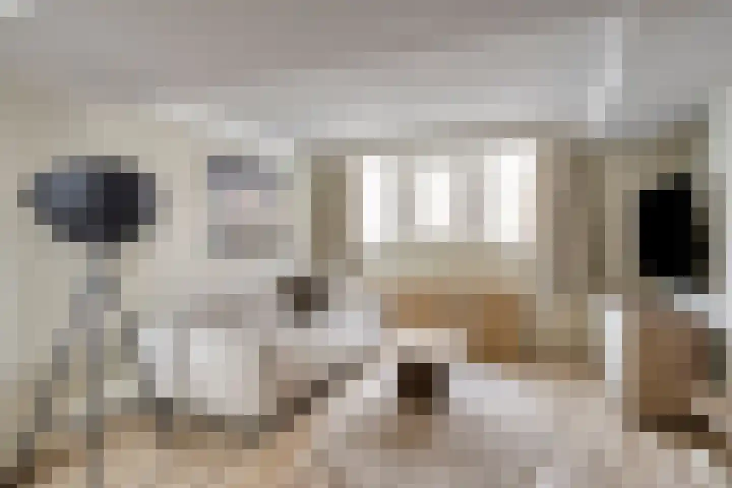 Nimfkruidvaart 14 Zoetermeer thumbnail 19