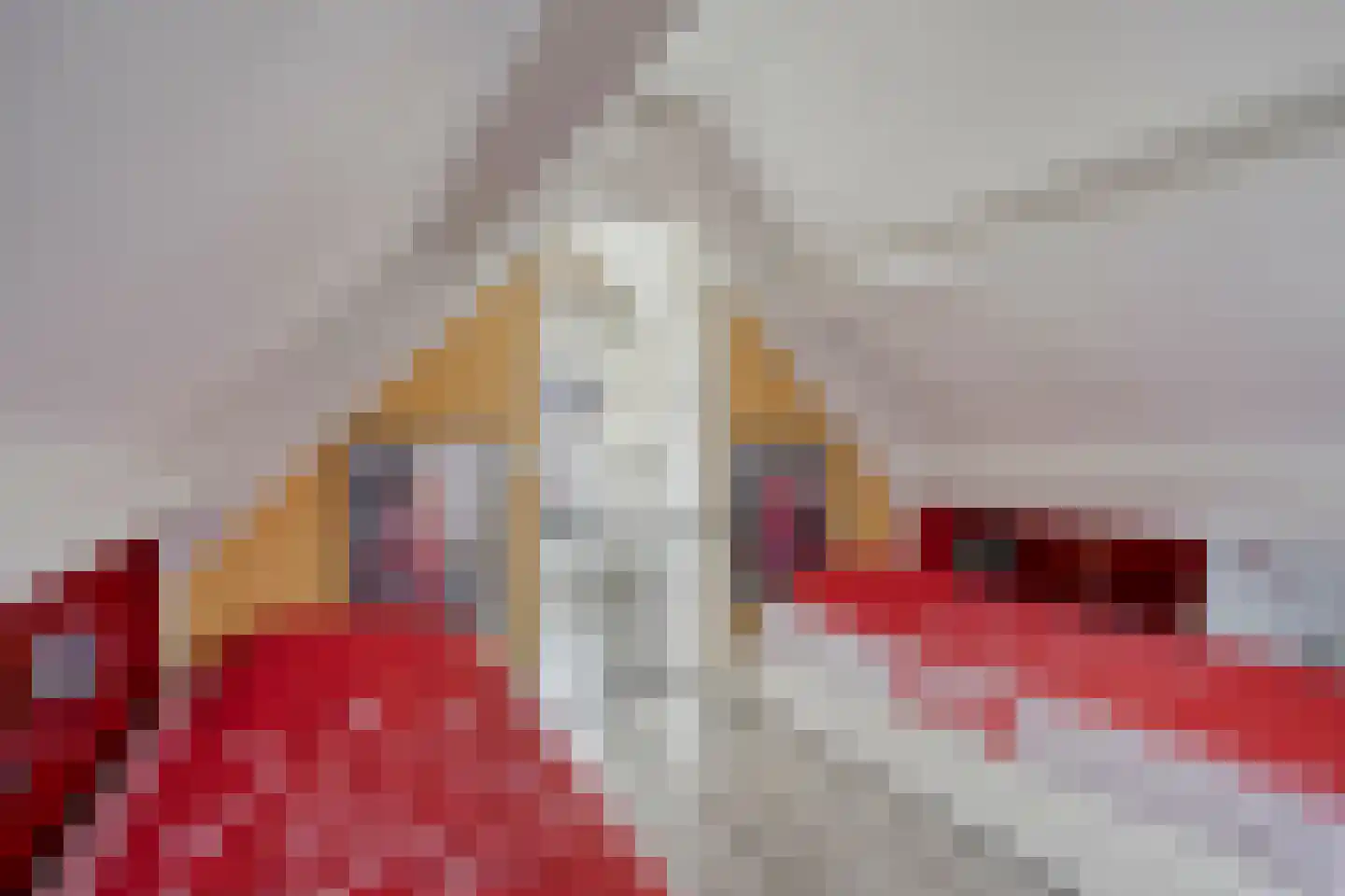 Nimfkruidvaart 14 Zoetermeer thumbnail 30