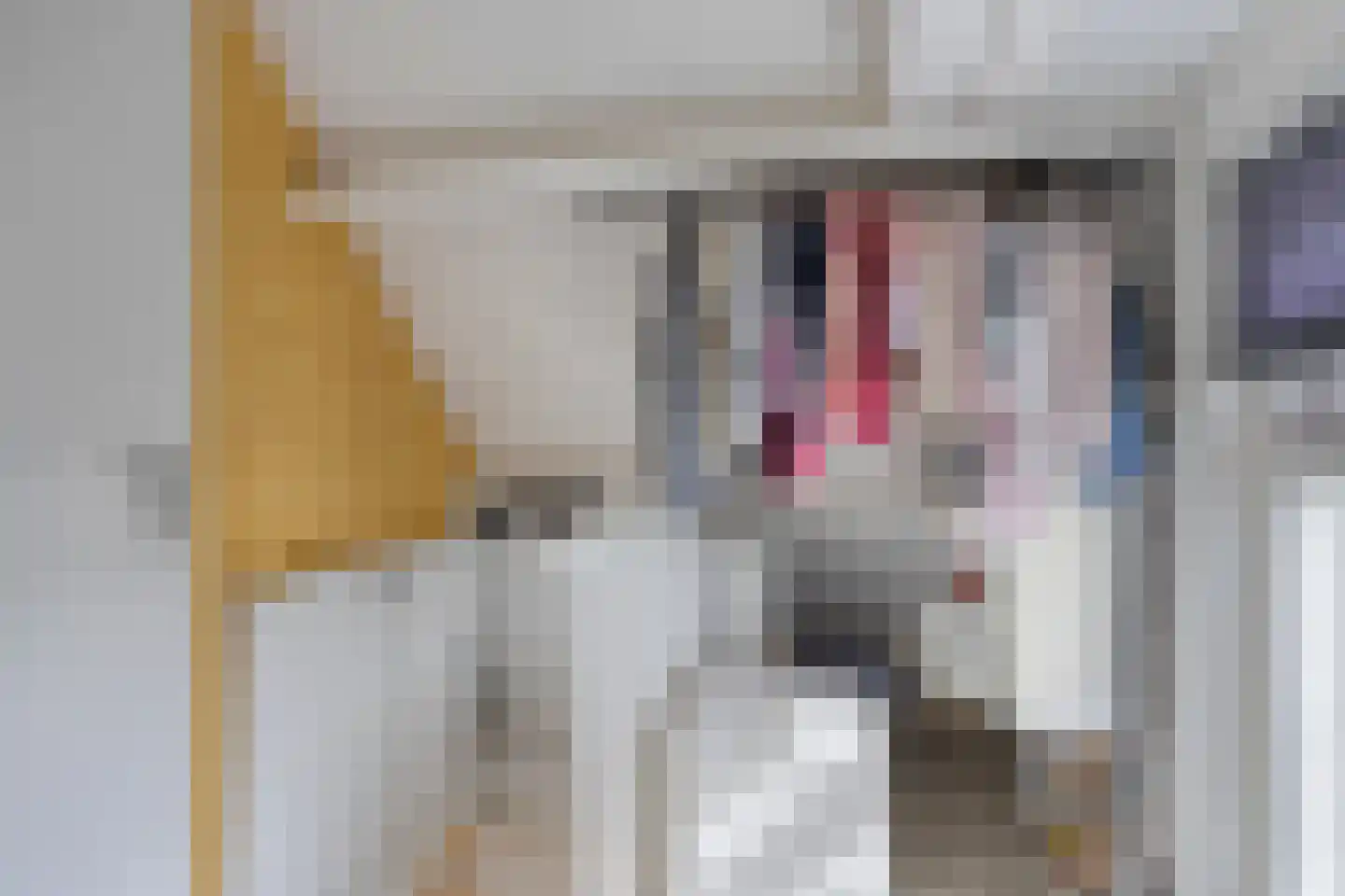Nimfkruidvaart 14 Zoetermeer thumbnail 32