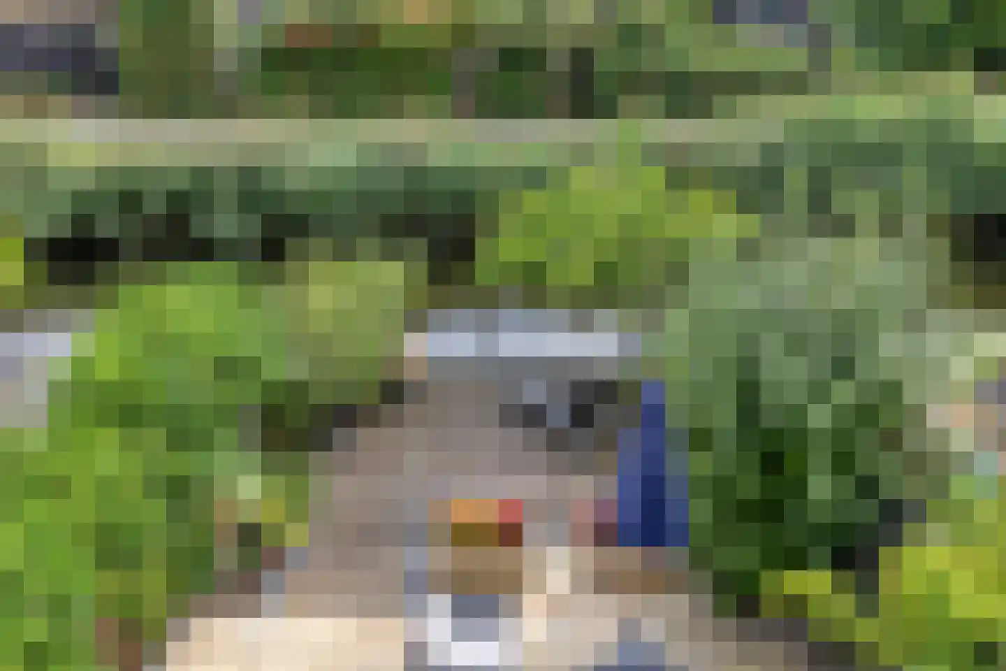Nimfkruidvaart 14 Zoetermeer thumbnail 33
