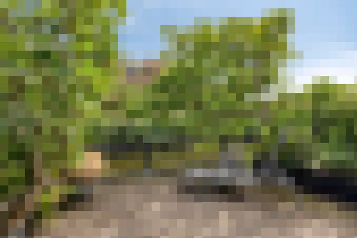 Nimfkruidvaart 14 Zoetermeer thumbnail 34