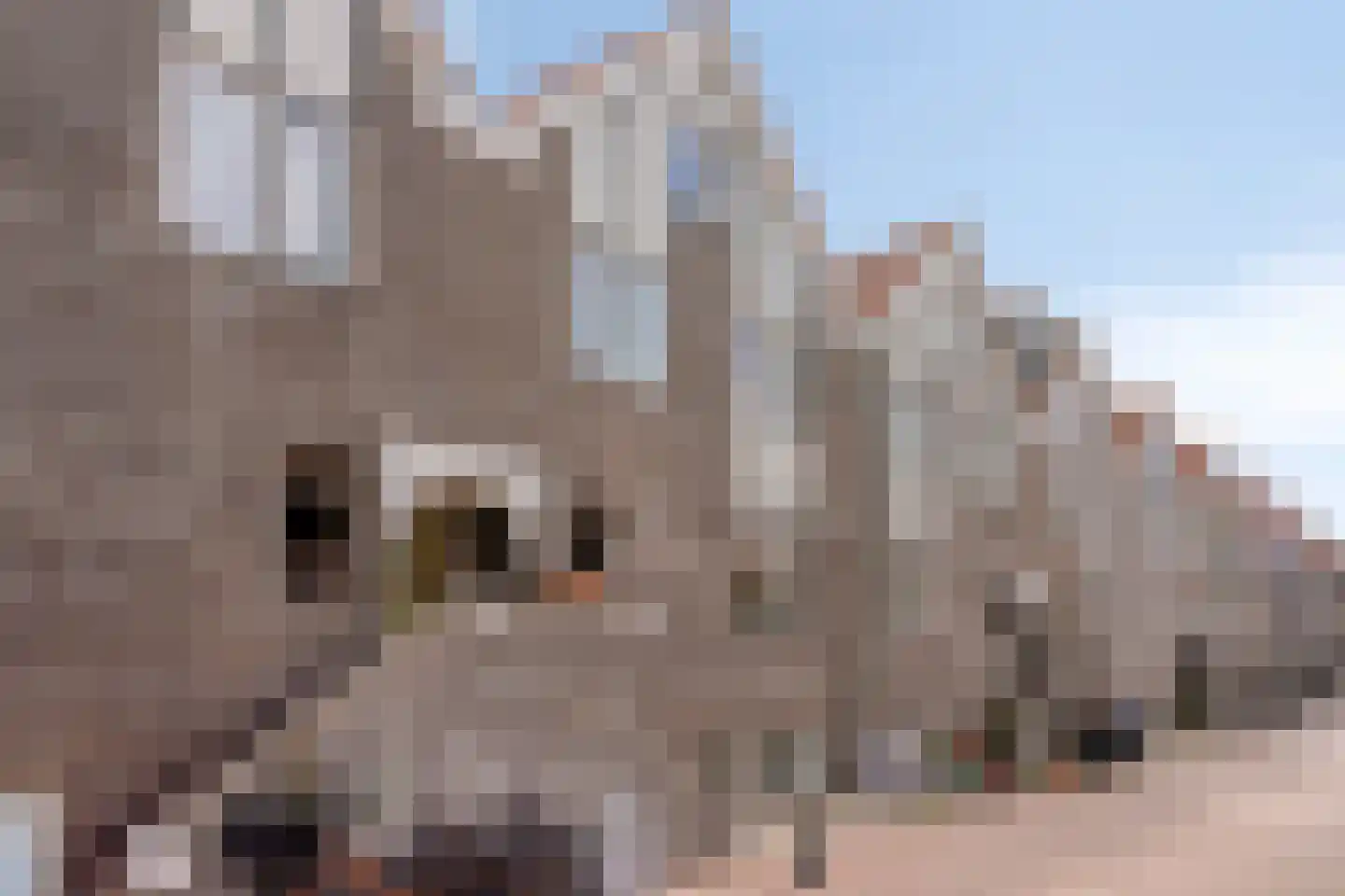 Nimfkruidvaart 14 Zoetermeer thumbnail 38