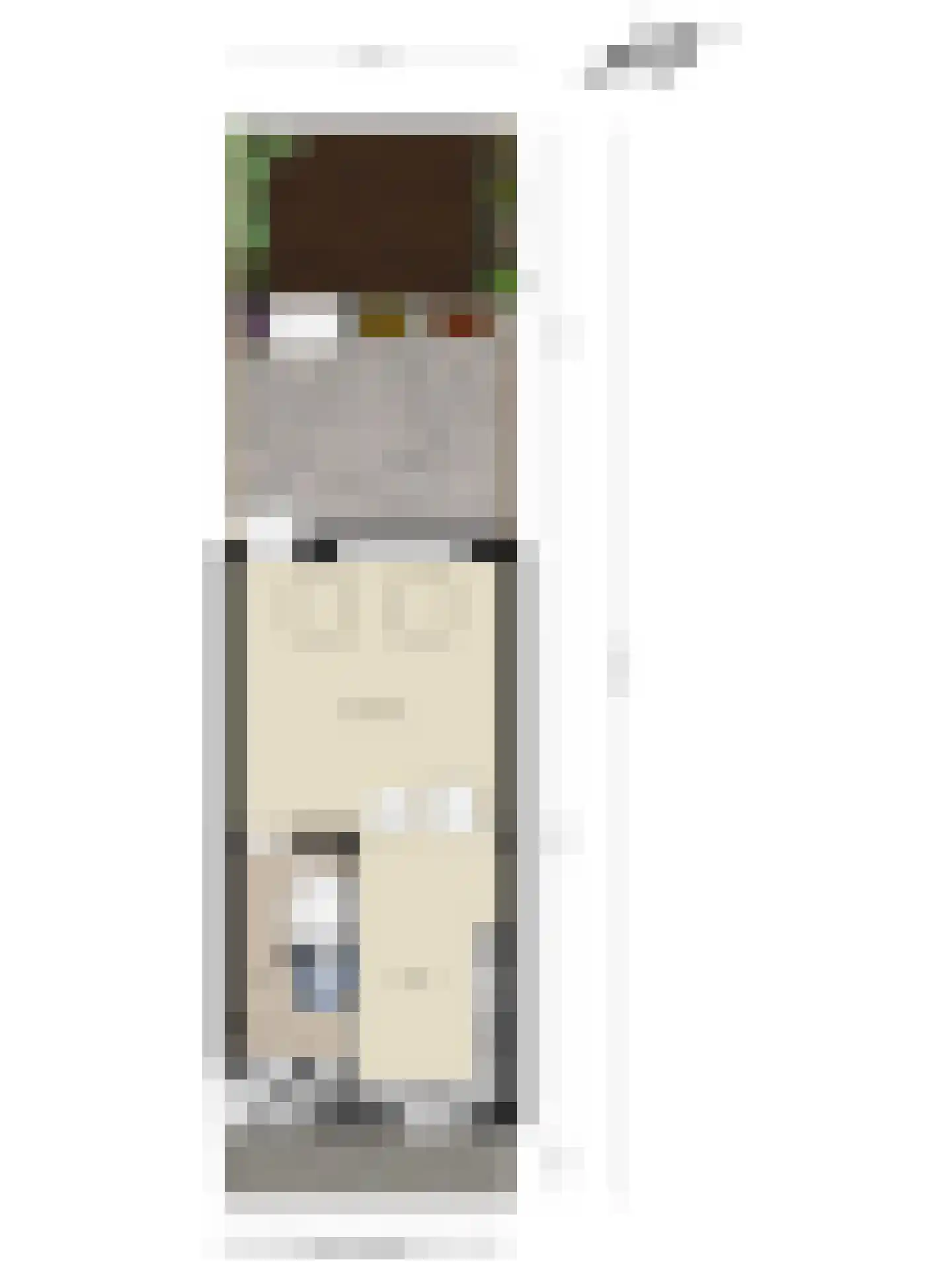 Nimfkruidvaart 14 Zoetermeer thumbnail 43