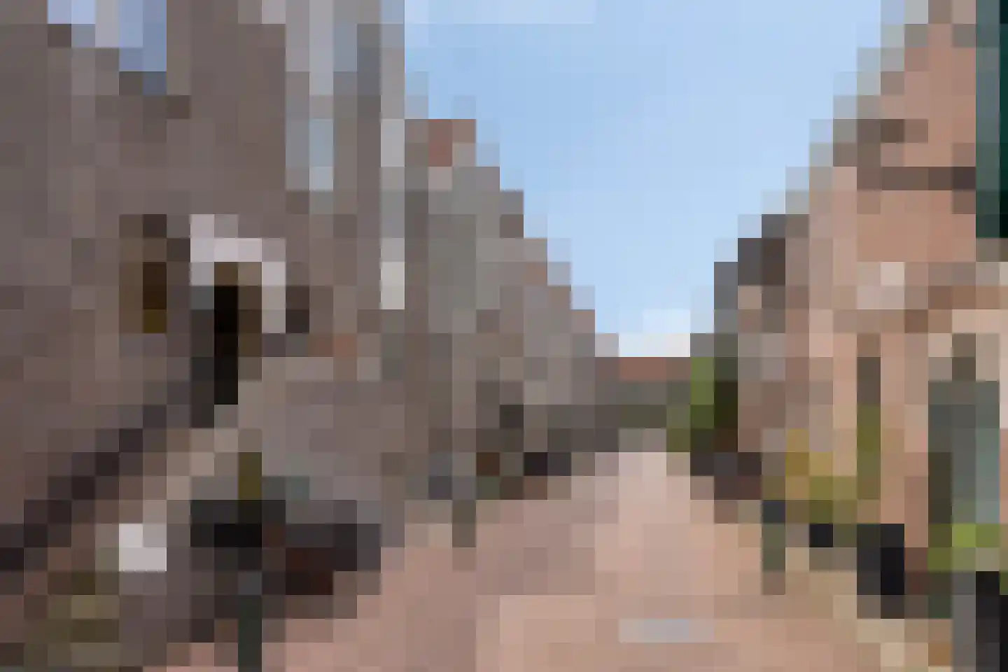 Nimfkruidvaart 14 Zoetermeer thumbnail 6