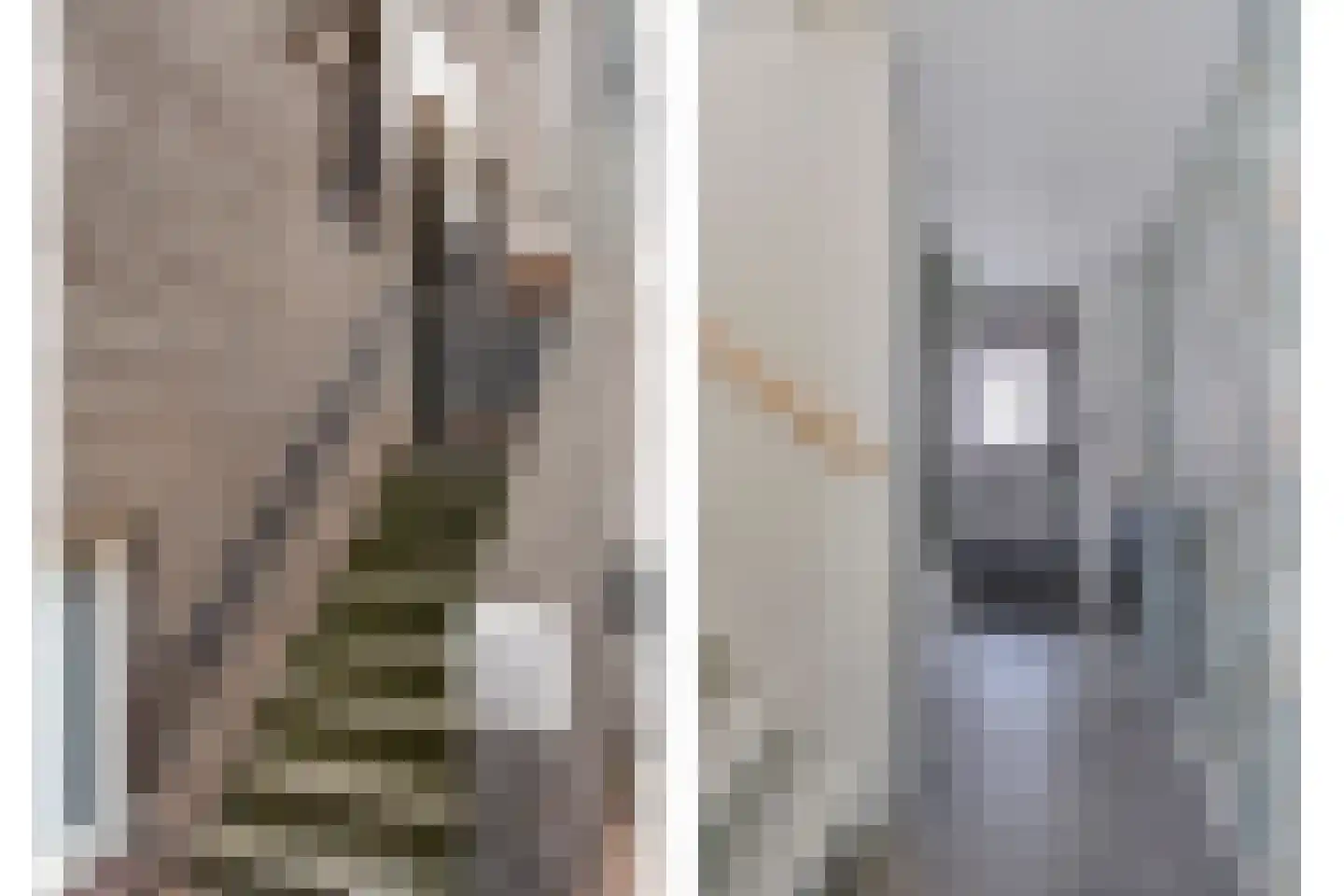 Nimfkruidvaart 14 Zoetermeer thumbnail 7