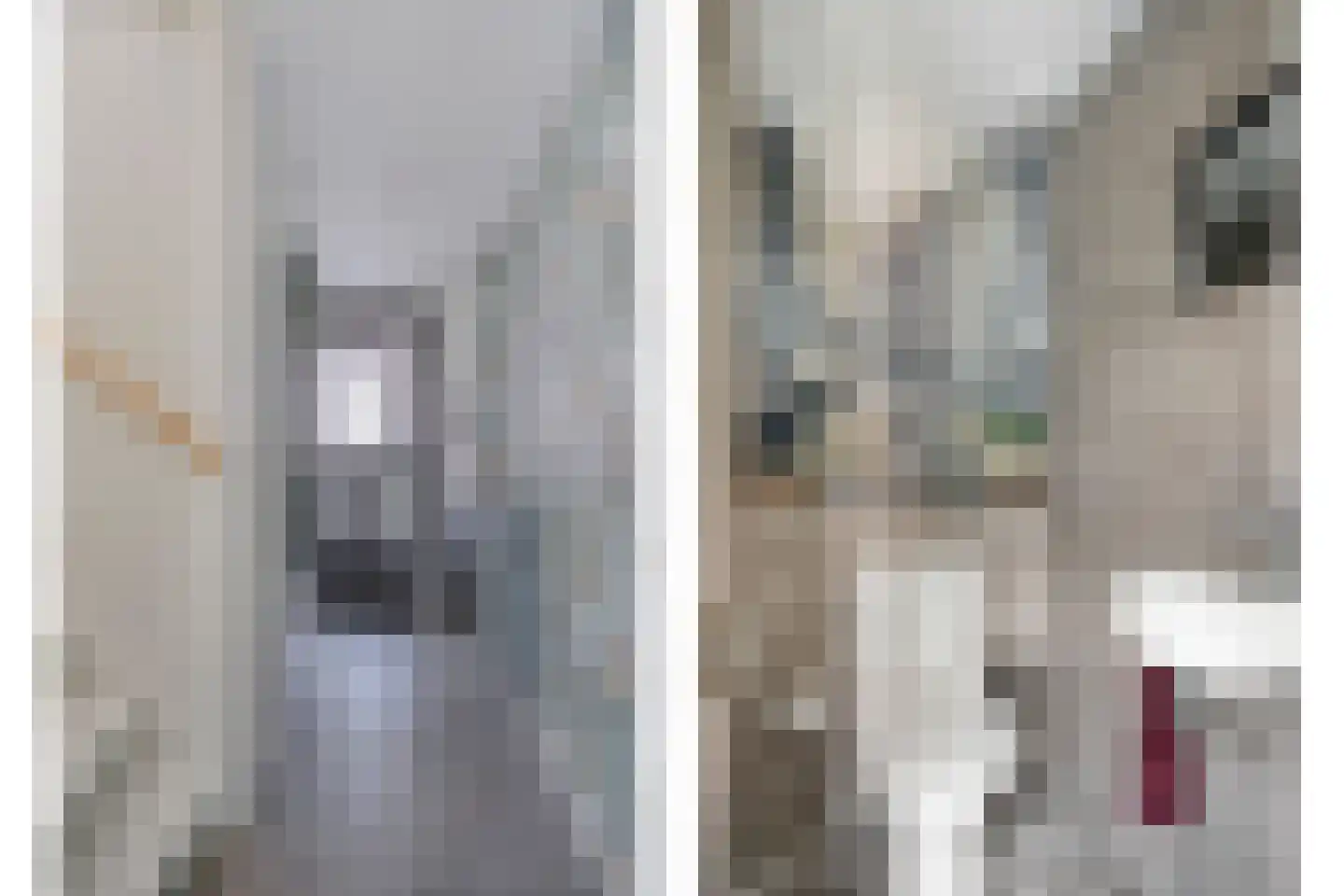 Nimfkruidvaart 14 Zoetermeer thumbnail 8