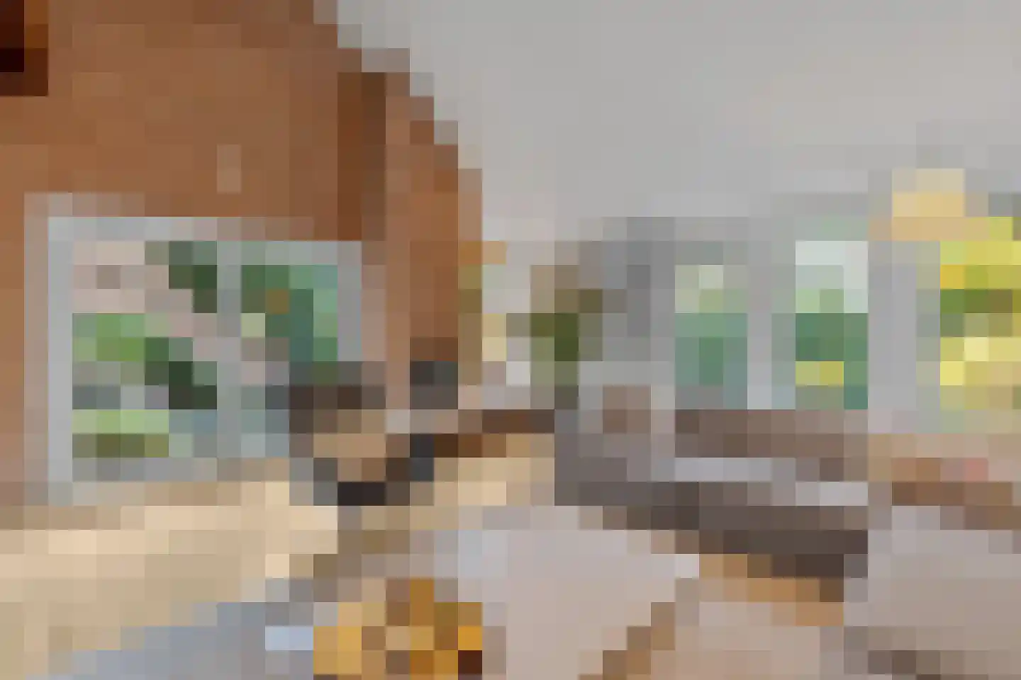 Nimfkruidvaart 15 Zoetermeer thumbnail 10