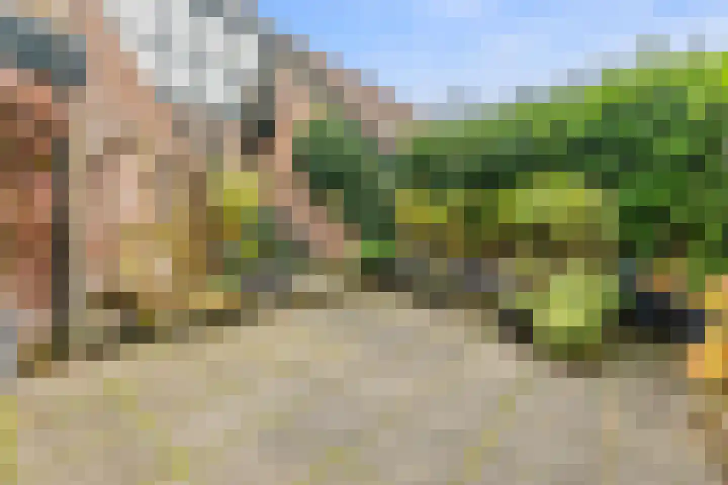 Nimfkruidvaart 15 Zoetermeer thumbnail 15