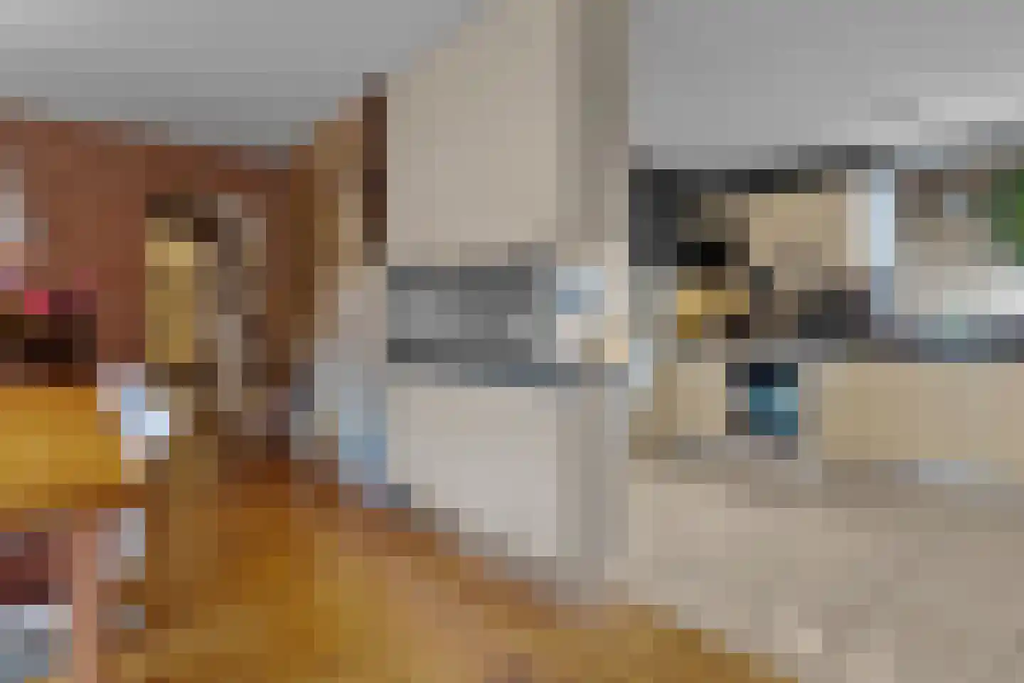 Nimfkruidvaart 15 Zoetermeer thumbnail 19
