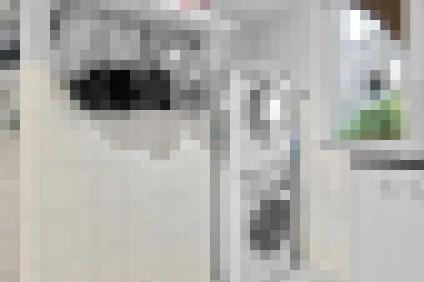 Nimfkruidvaart 15 Zoetermeer thumbnail 24