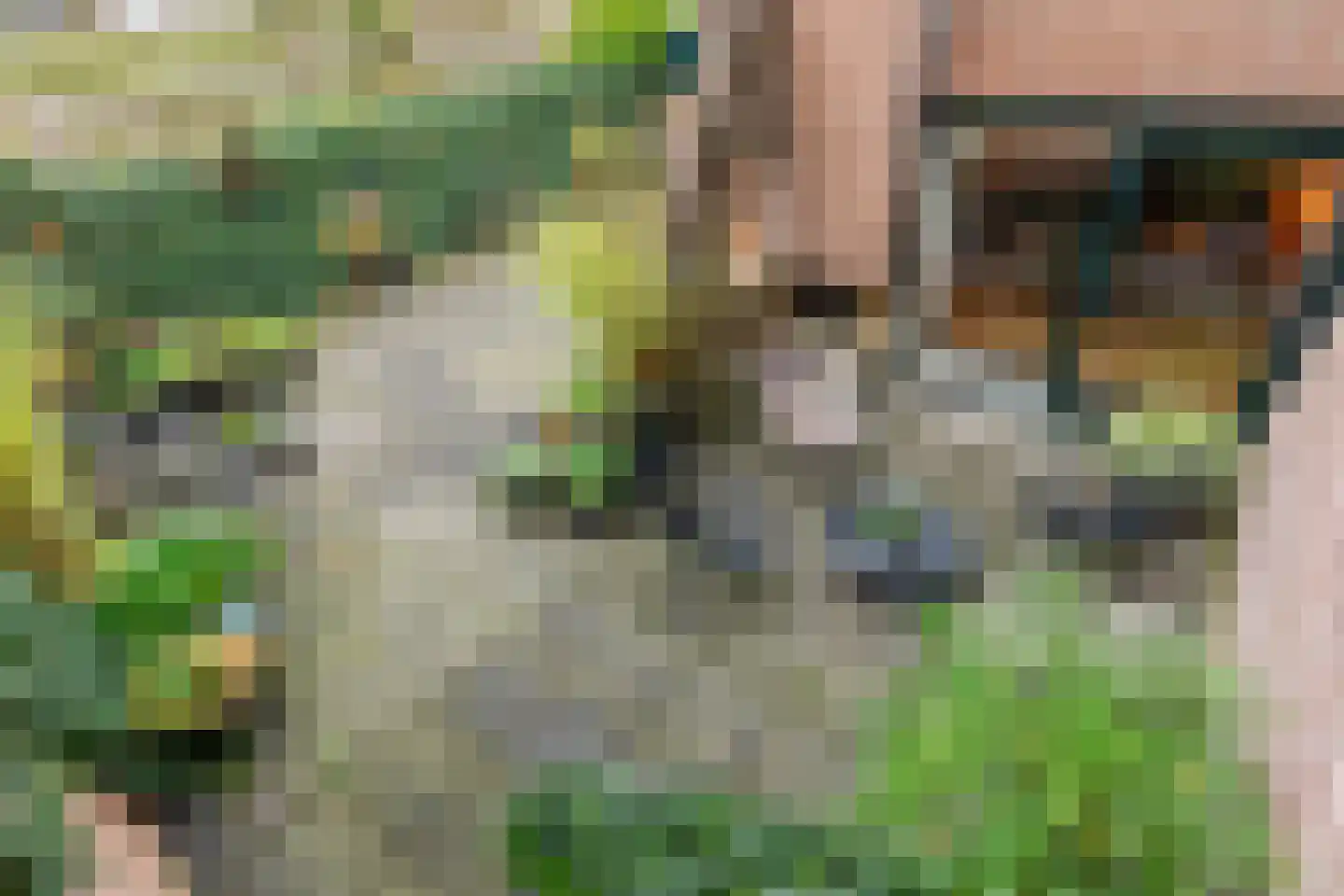 Nimfkruidvaart 15 Zoetermeer thumbnail 27