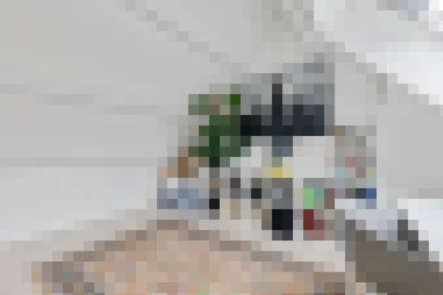 Nimfkruidvaart 15 Zoetermeer thumbnail 51