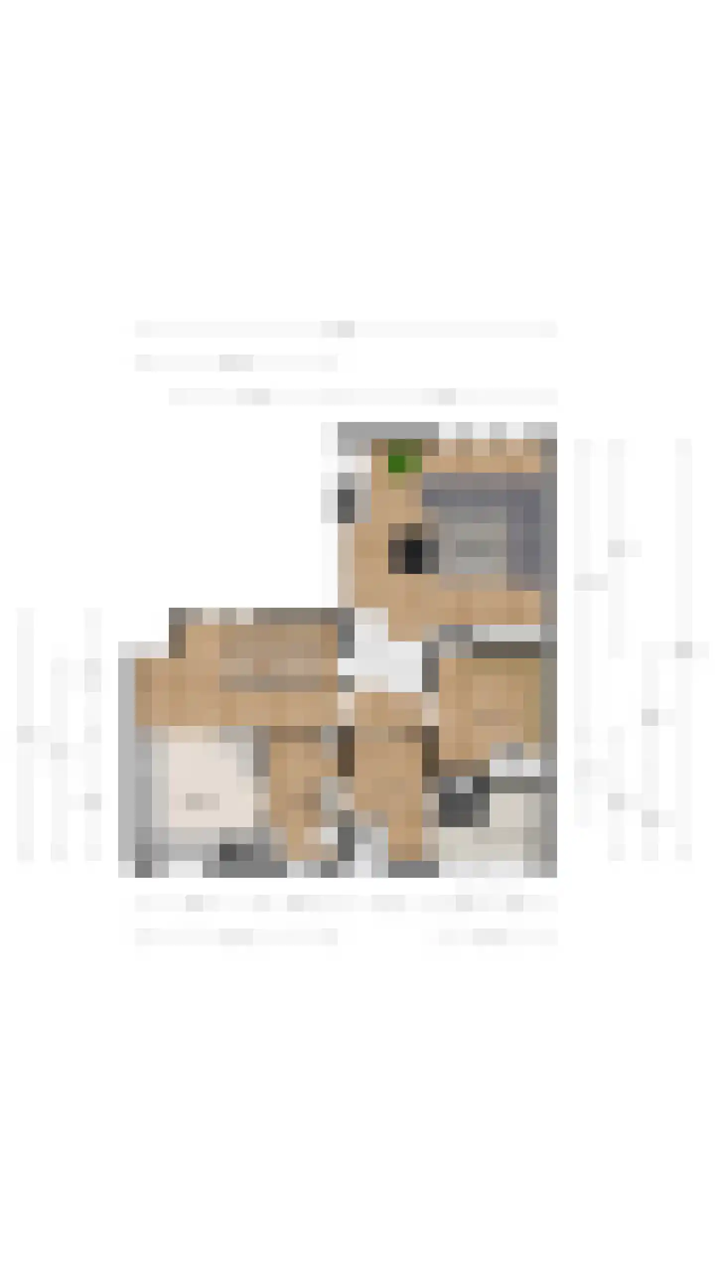 Nimfkruidvaart 15 Zoetermeer thumbnail 55