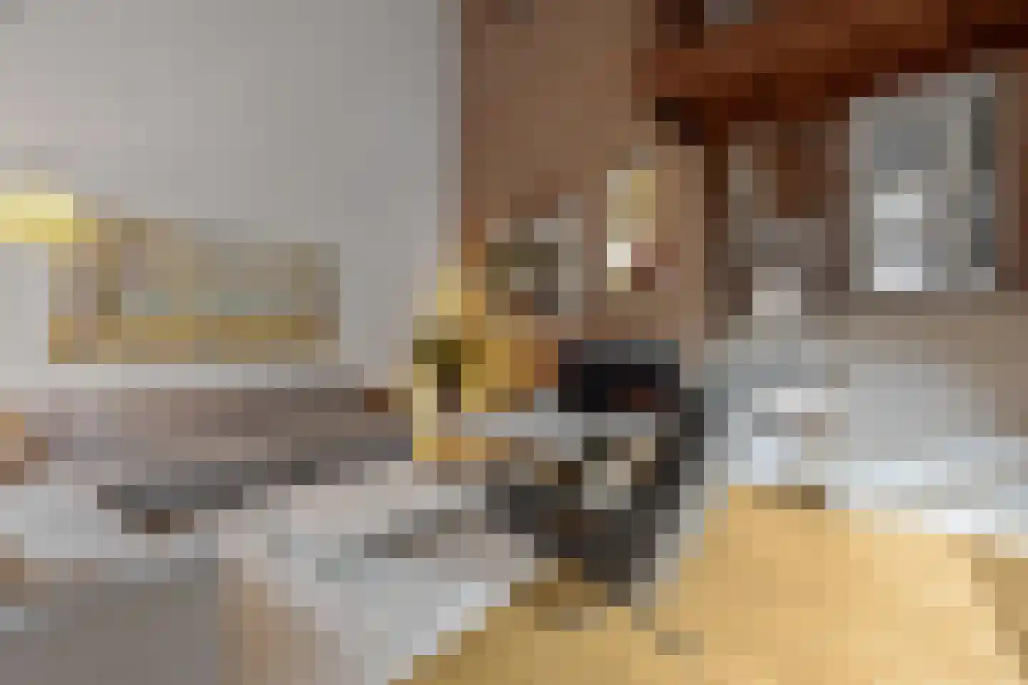 Nimfkruidvaart 15 Zoetermeer thumbnail 9
