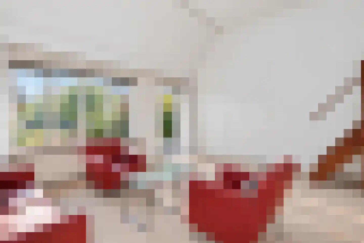 Nimfkruidvaart 52 Zoetermeer thumbnail 21