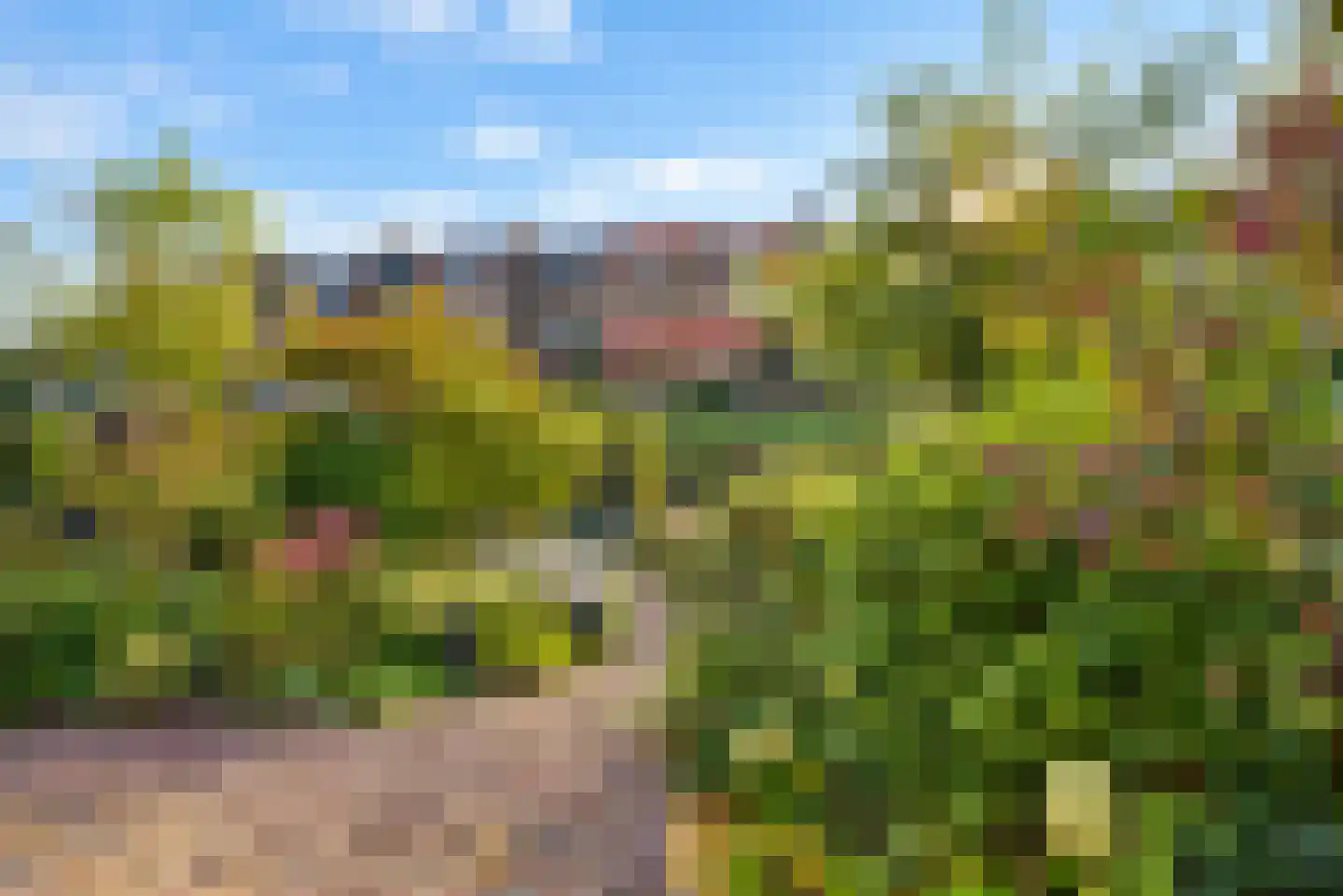 Nimfkruidvaart 52 Zoetermeer thumbnail 28