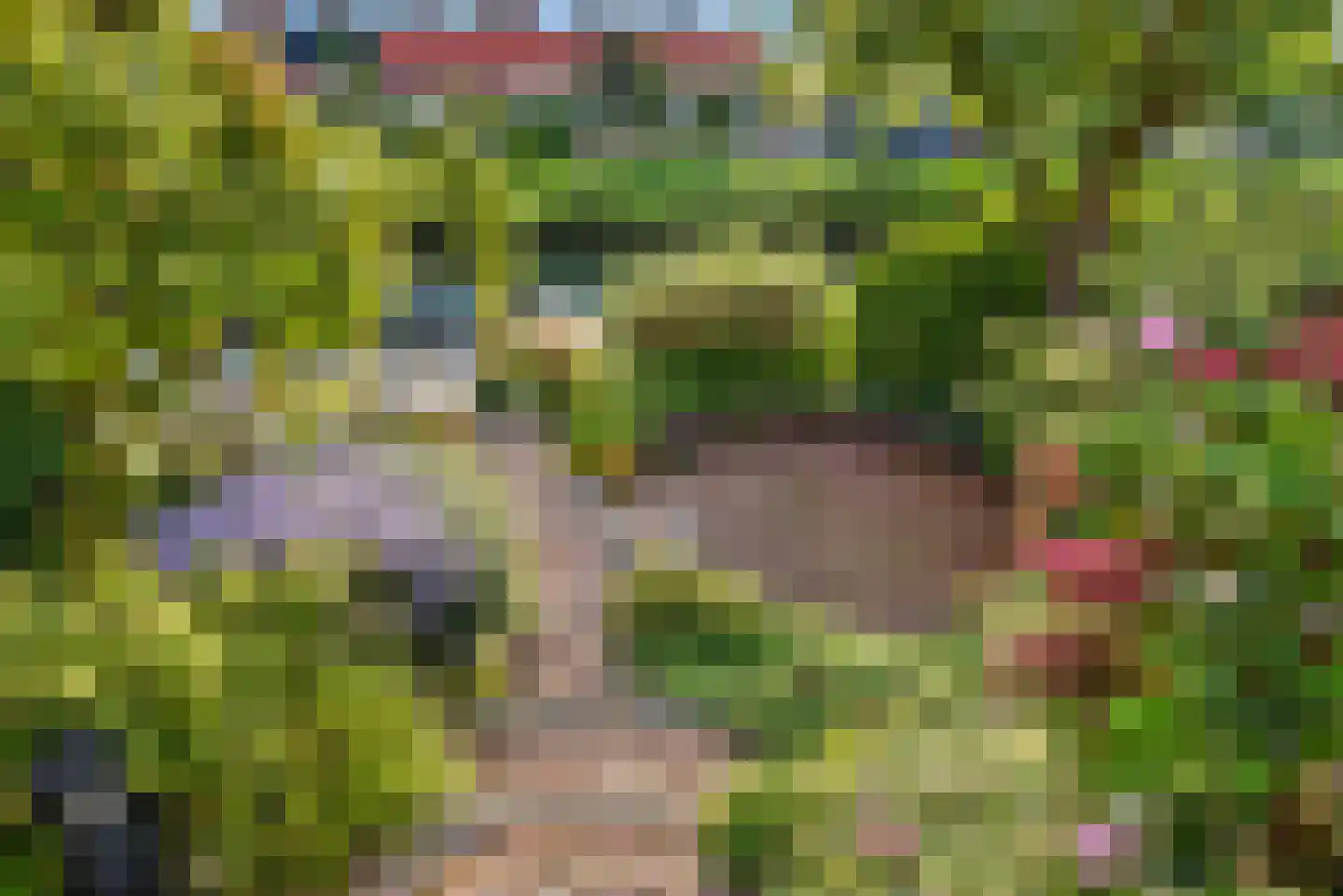 Nimfkruidvaart 52 Zoetermeer thumbnail 29
