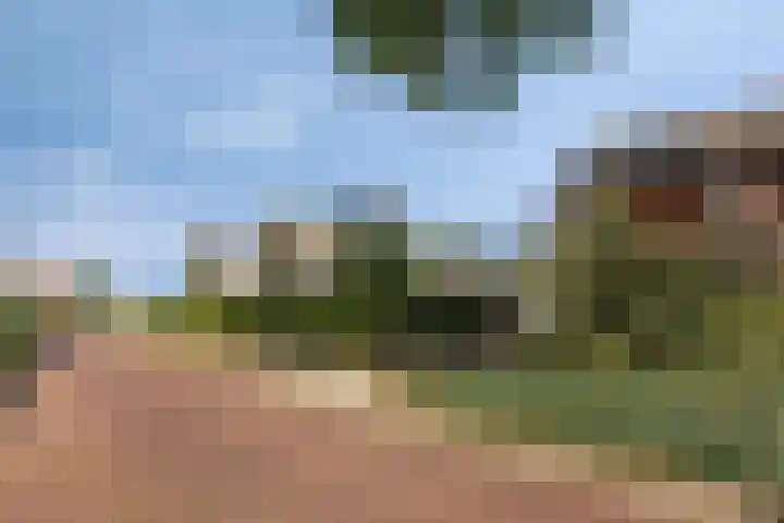 Nimrod 16 Sint Hubert thumbnail 7