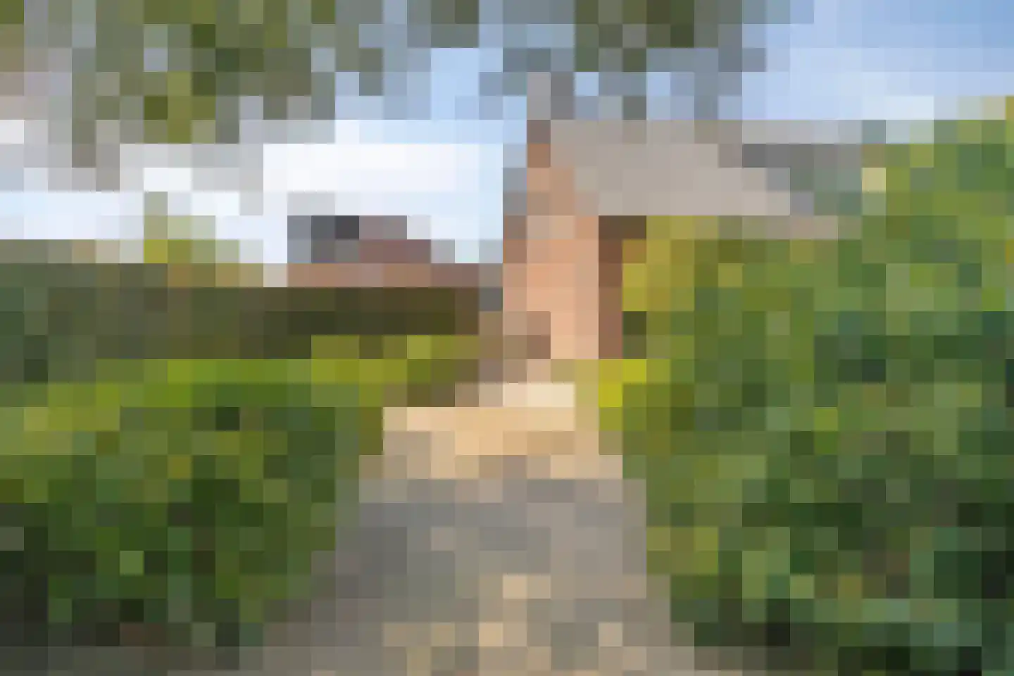 Nimrod 17 Sint Hubert thumbnail 10