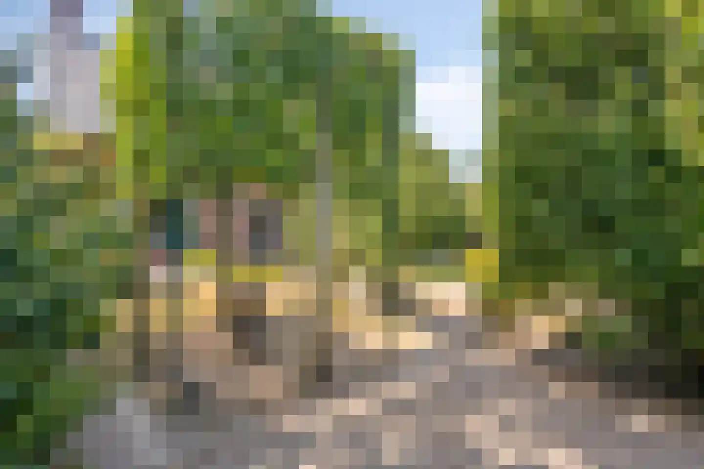 Nimrod 17 Sint Hubert thumbnail 11