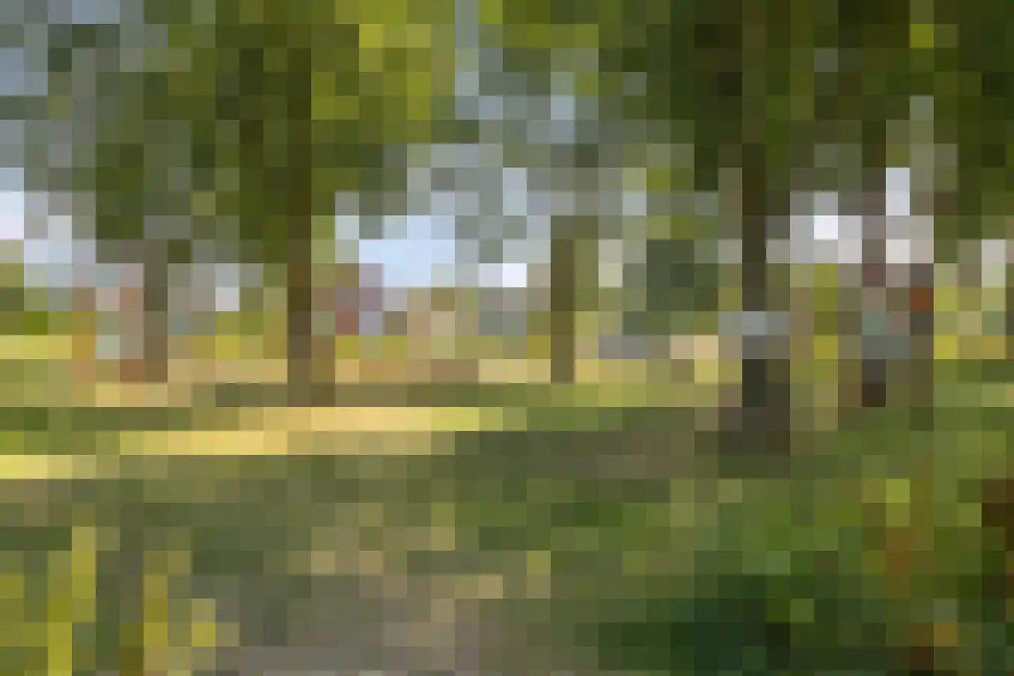 Nimrod 17 Sint Hubert thumbnail 54