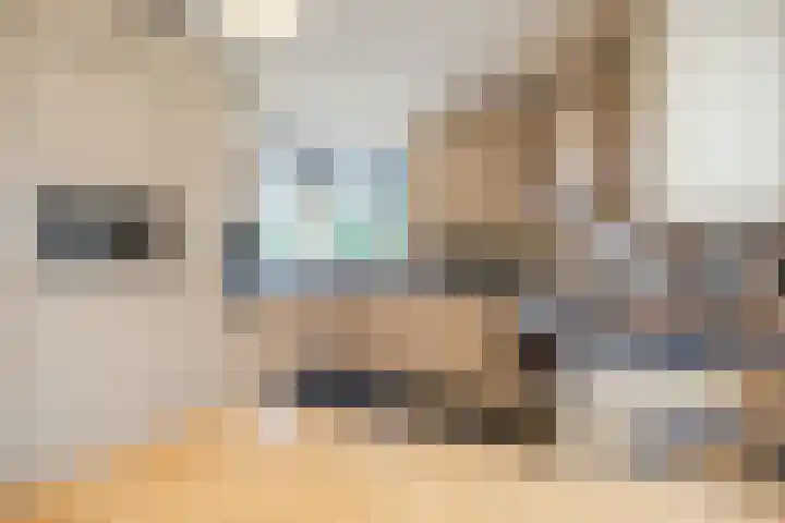 Nimrodel 17 Geldrop thumbnail 17