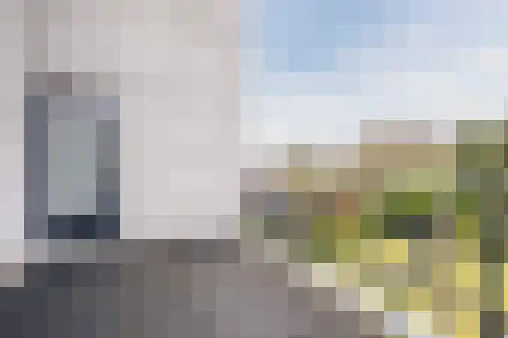 Nimrodel 17 Geldrop thumbnail 27