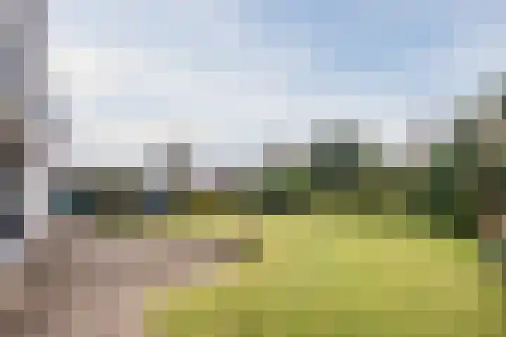 Nimrodel 17 Geldrop foto 3