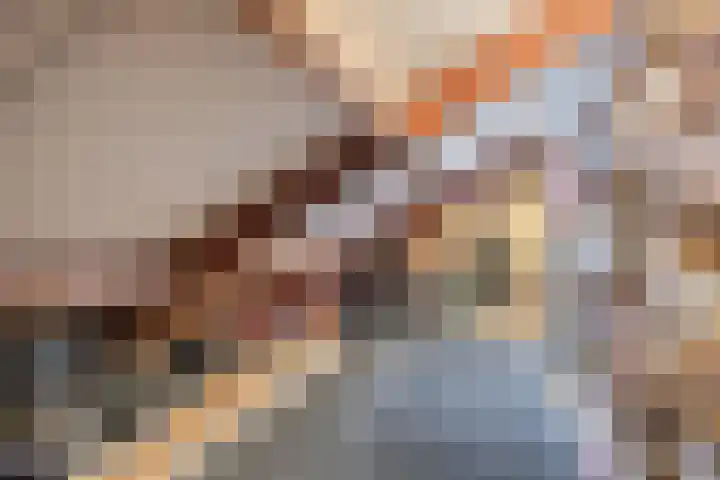 Nimrodel 17 Geldrop thumbnail 38