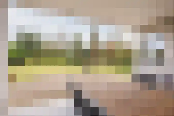 Nimrodel 17 Geldrop thumbnail 42
